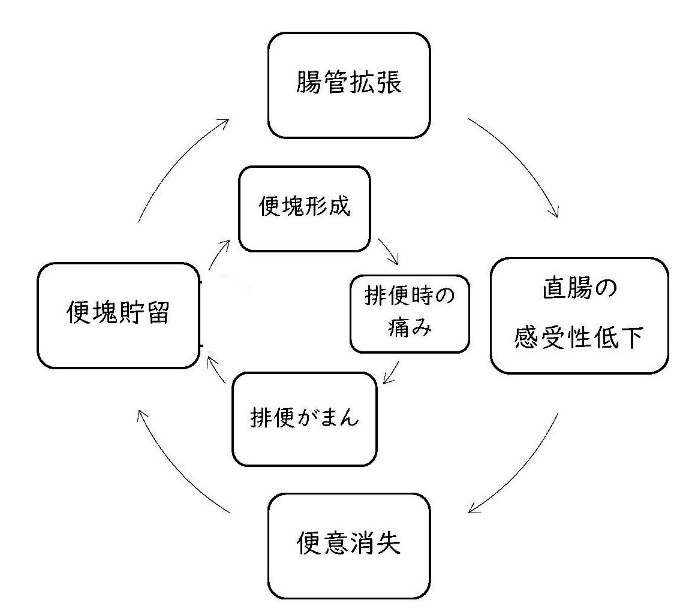 小児便秘症の悪循環